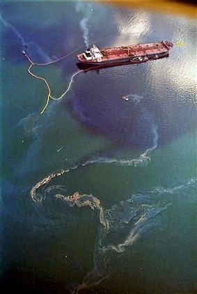 Photo:  The Exxon Valdez oil spill in Prince William Sound, Alaska killed 2,800 sea otters